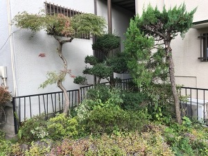 南足柄市 外構リフォームビフォー写真